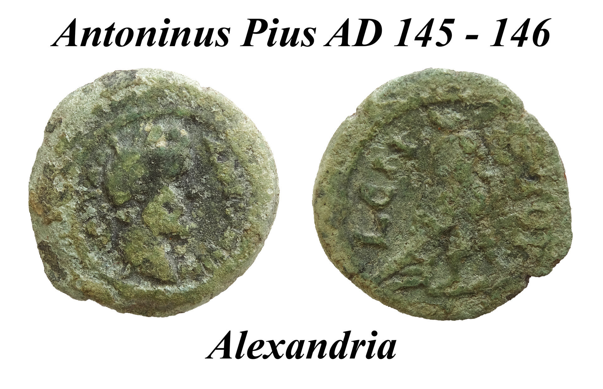 Antoninus Pius Alexandria.jpg