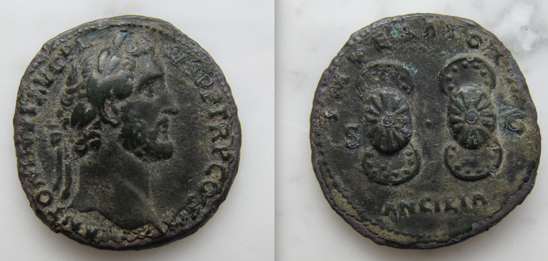 Antoninus Pius Ancilia  AS- OBV:REV - 2023.png
