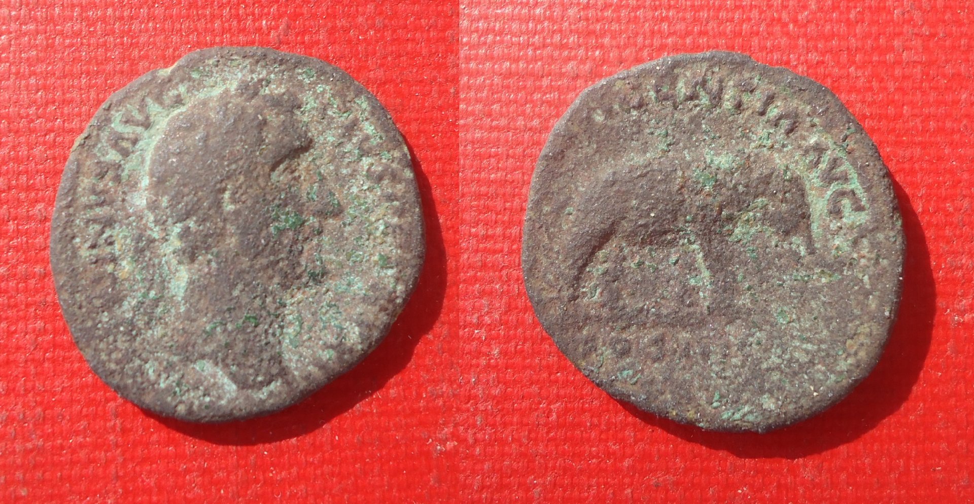 Antoninus Pius - As Elephant Jan 2018 (0).jpg