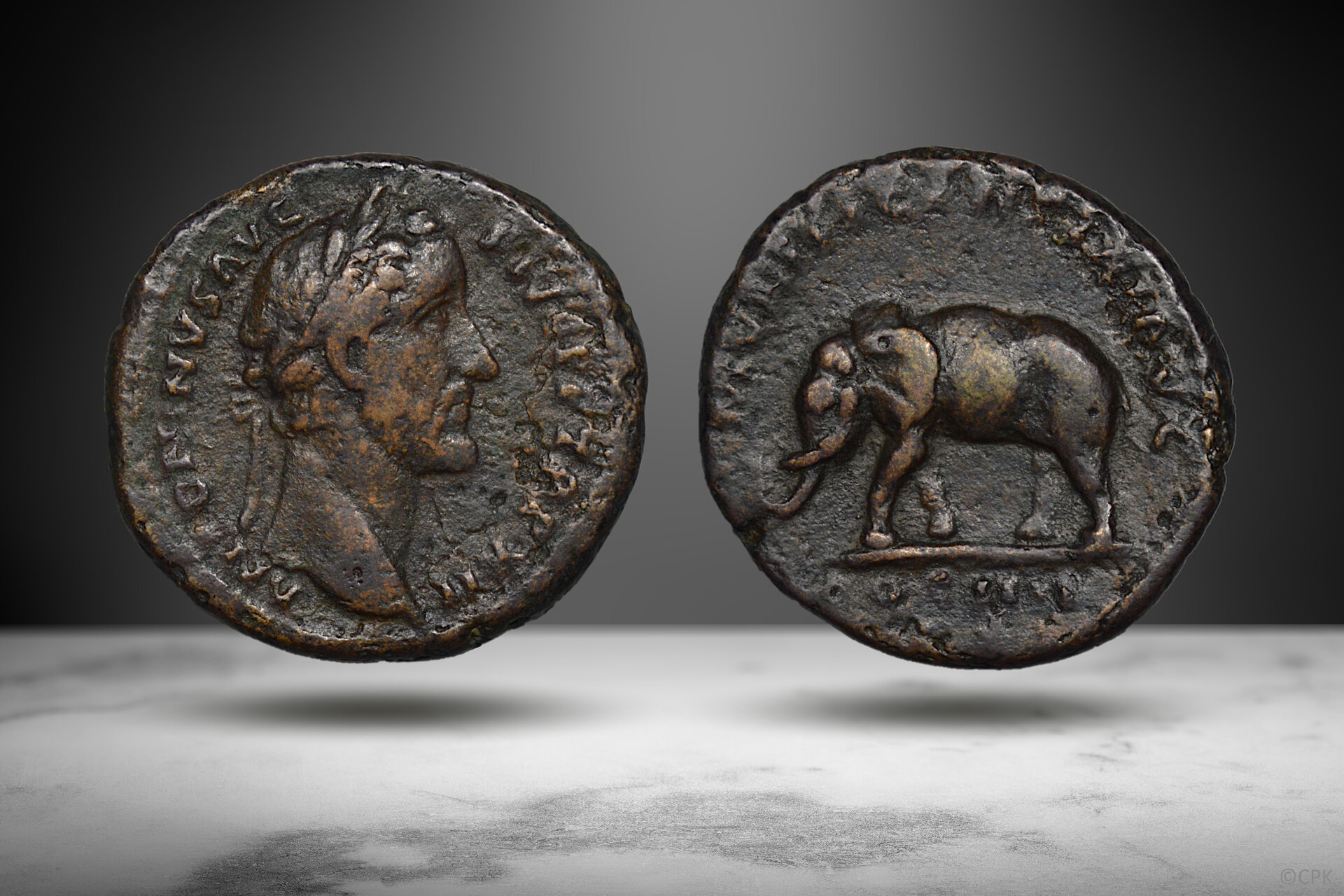 Antoninus Pius as elephant.jpg