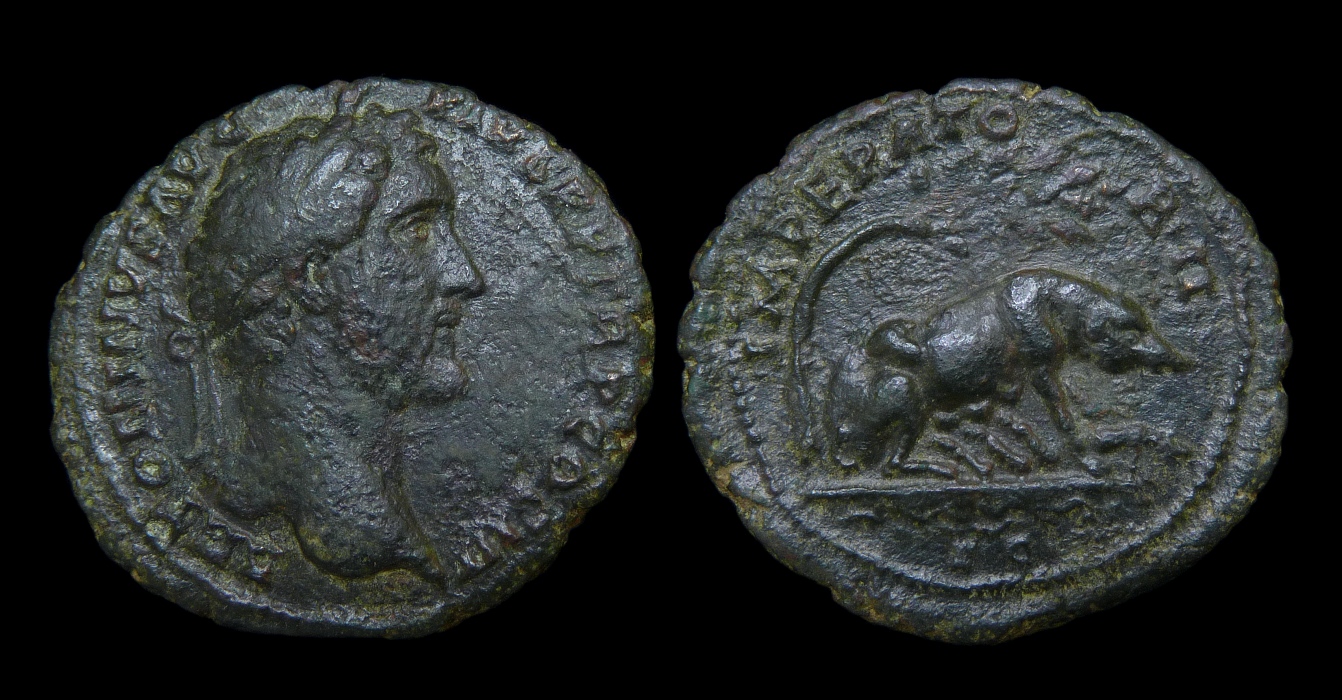 Antoninus Pius - As Pigs 103.jpg