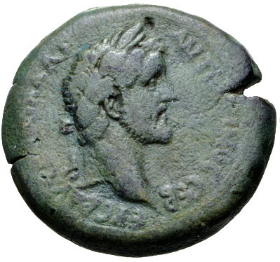 Antoninus Pius Croc a.jpg