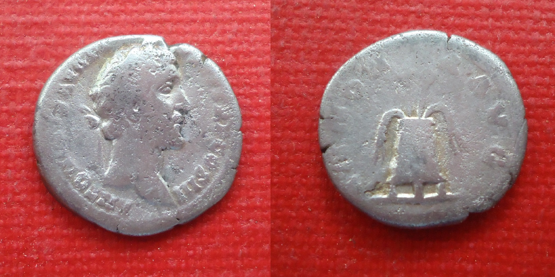 Antoninus Pius den Modius May 2019 (0).jpg