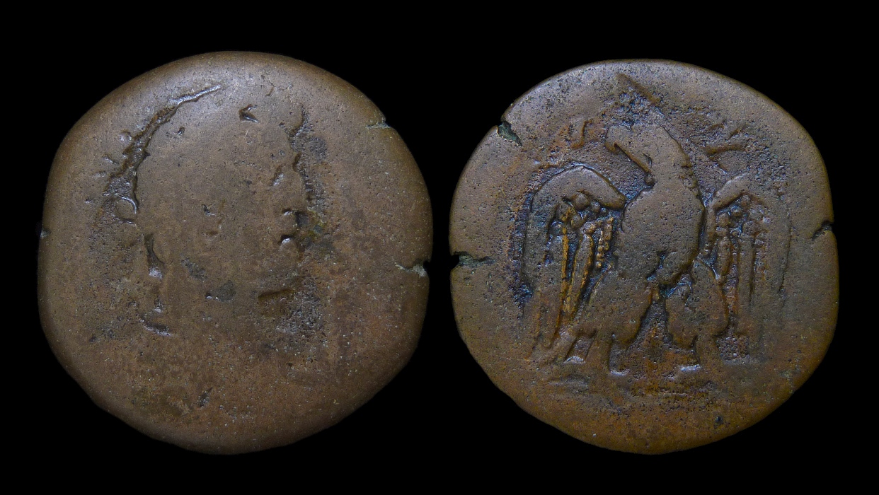 Antoninus Pius - Drachm Lot Eagle LIZ 2030.jpg