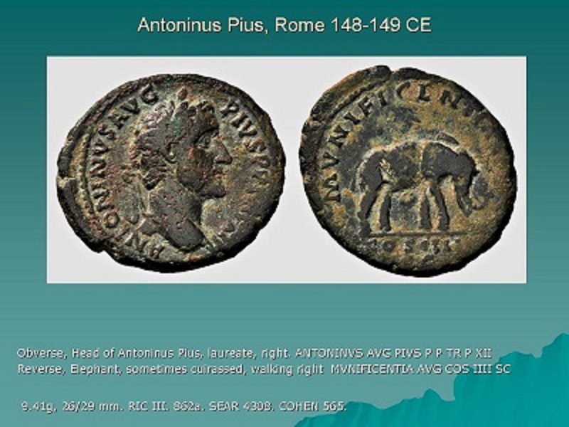 Antoninus Pius, Elephant.jpg