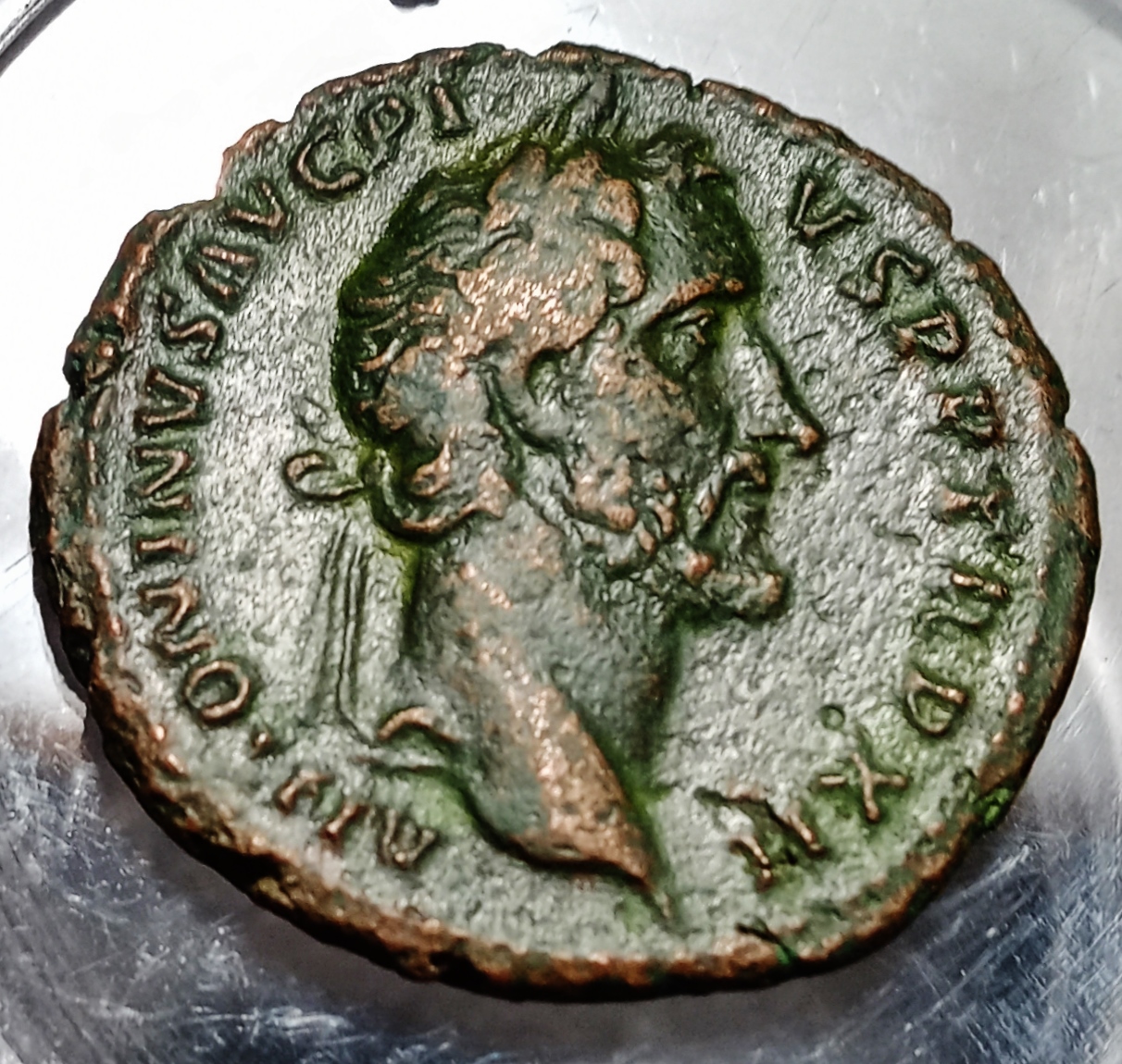 Antoninus Pius - Elephant Obverse.jpg