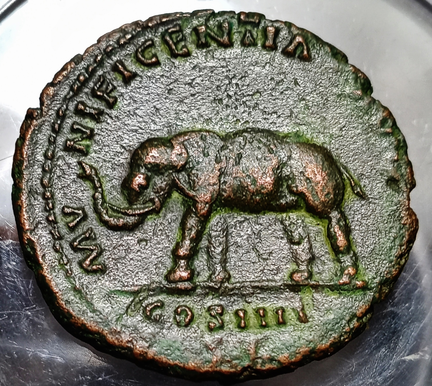 Antoninus Pius - Elephant Reverse.jpg