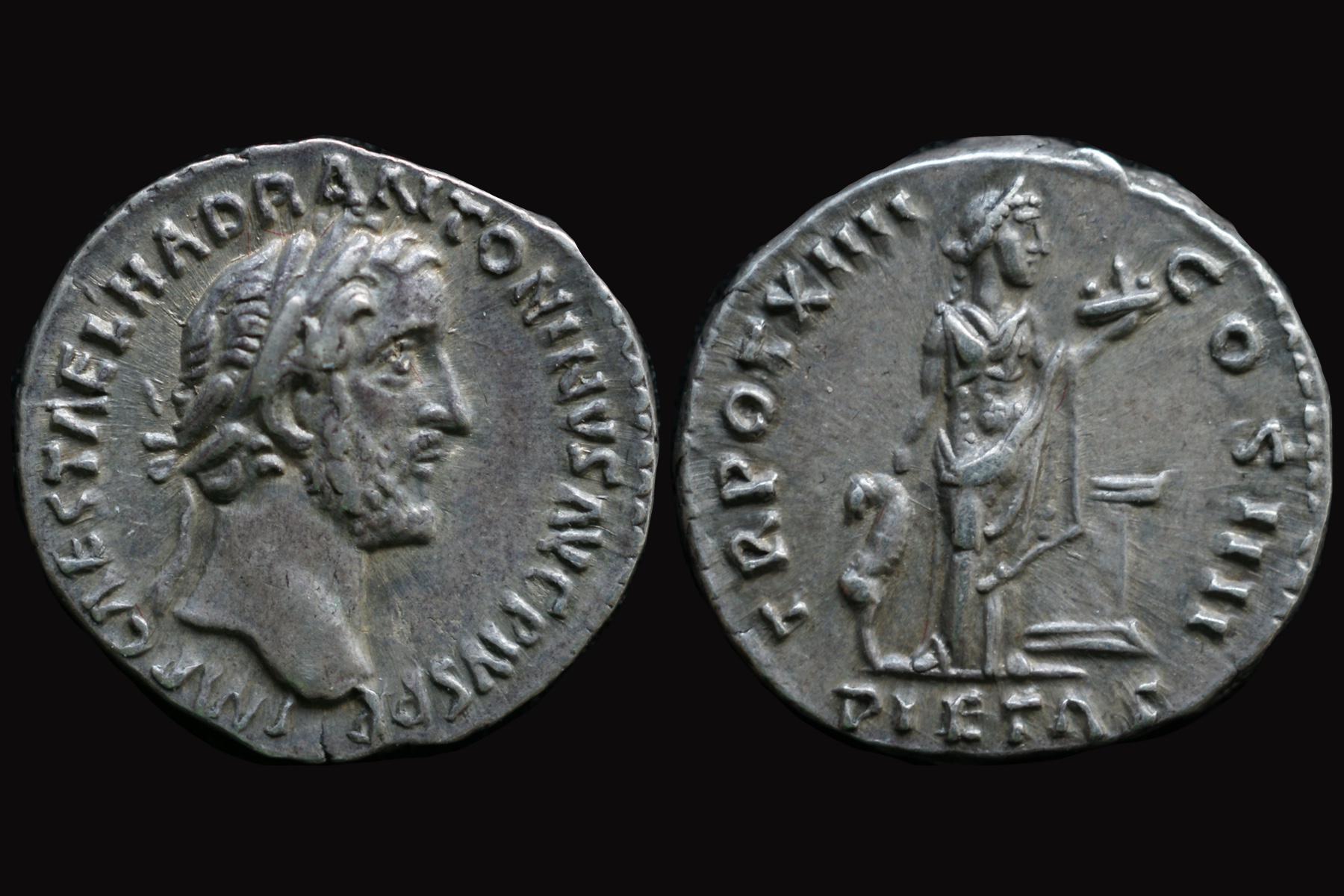 Antoninus Pius F.jpg