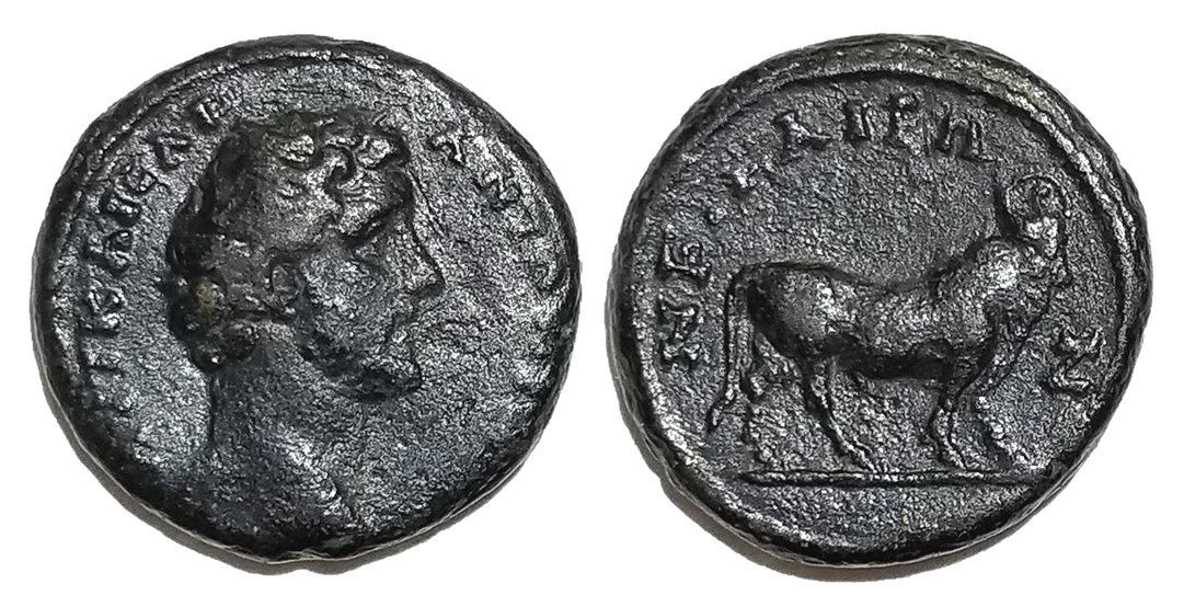 Antoninus Pius Nicaea Apis bull.jpg