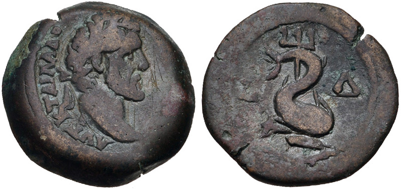 antoninus pius obol dolphin.jpg