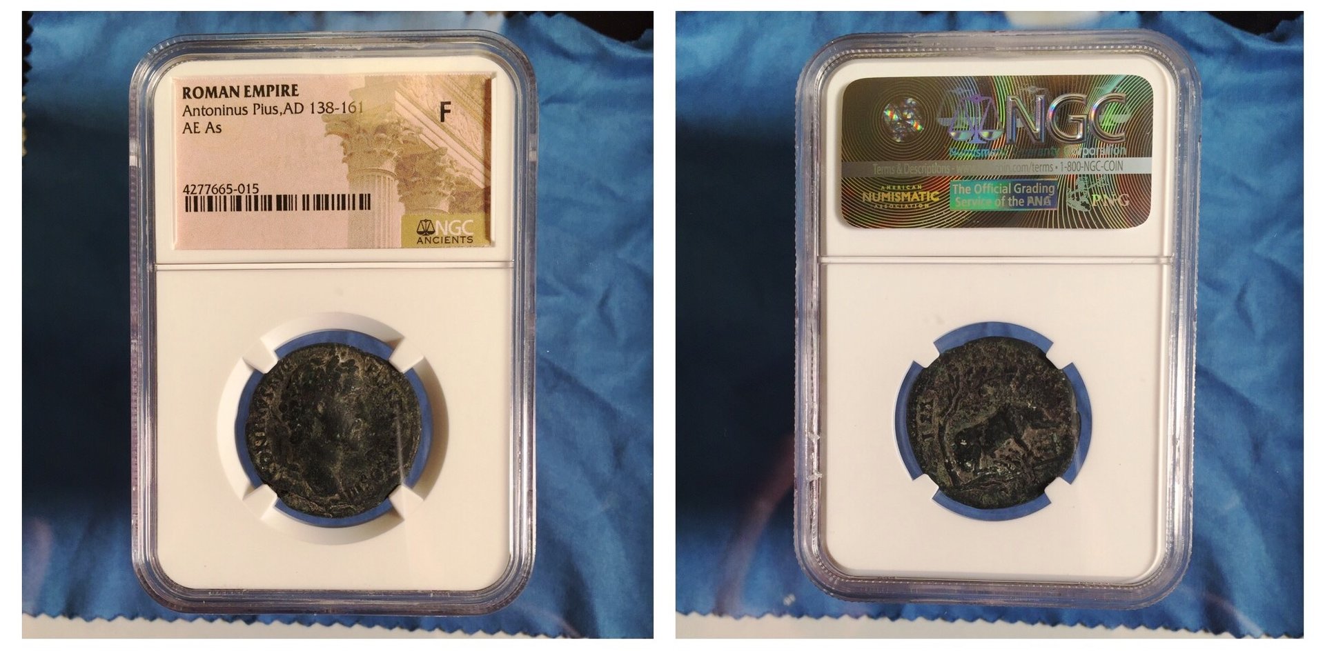 ANTONINUS PIUS PIGS SLABBED.jpg