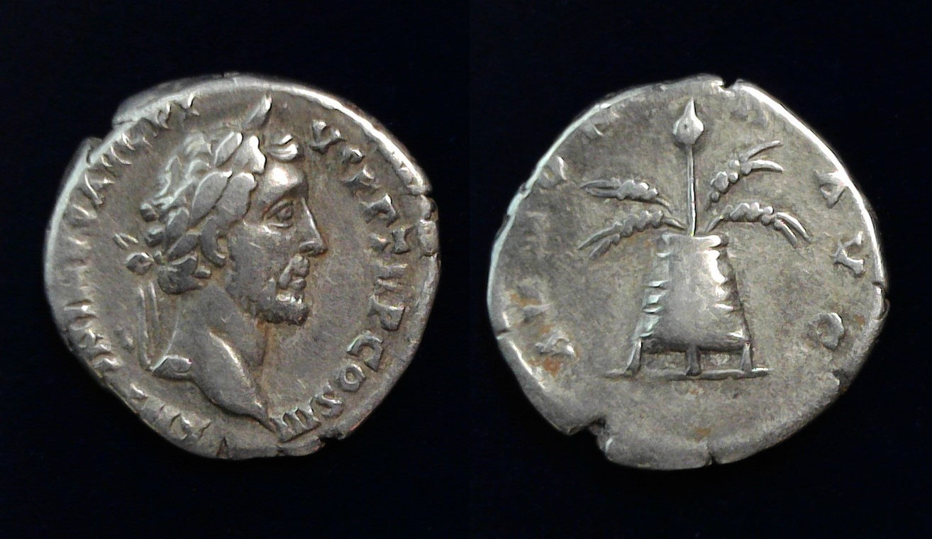 Antoninus Pius Poppy Modius.jpg