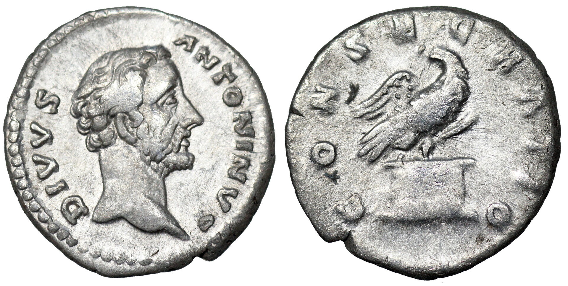 Antoninus Pius Rome 430.JPG