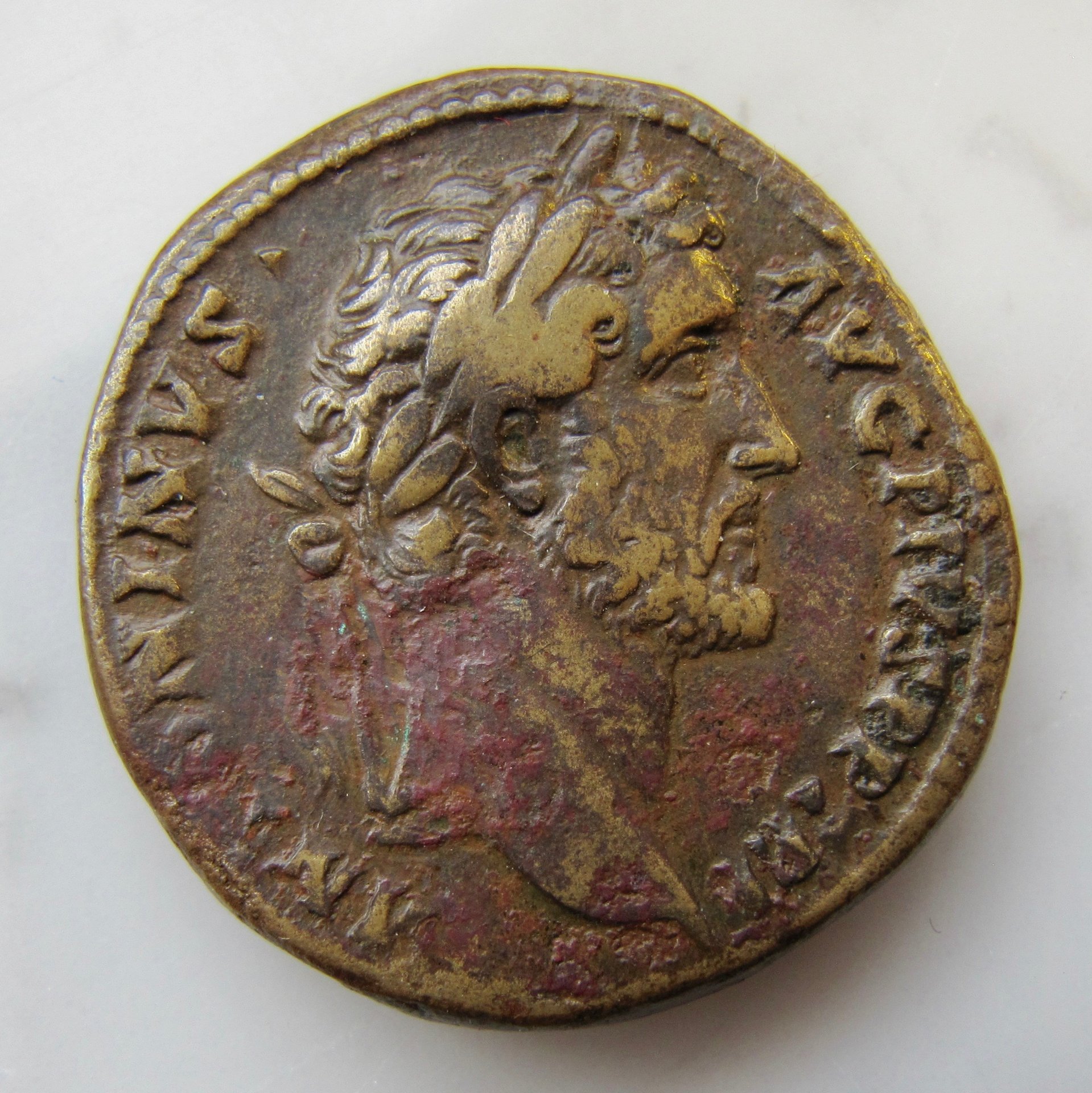 Antoninus Pius sestertius platform - obv N VGP lighter better - 1.jpg