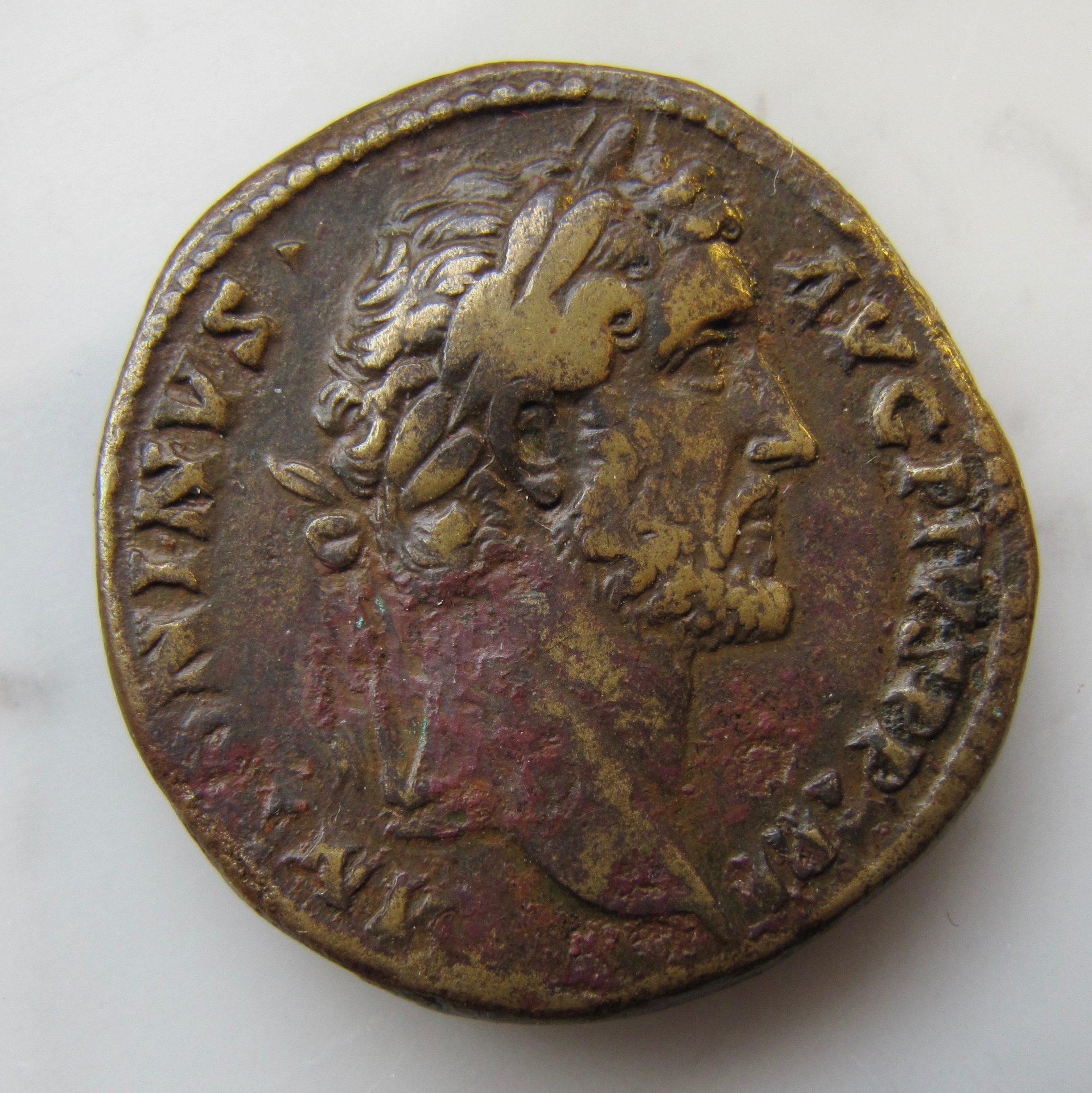 Antoninus Pius Sestertius Platform OBV1 N - 1.jpg