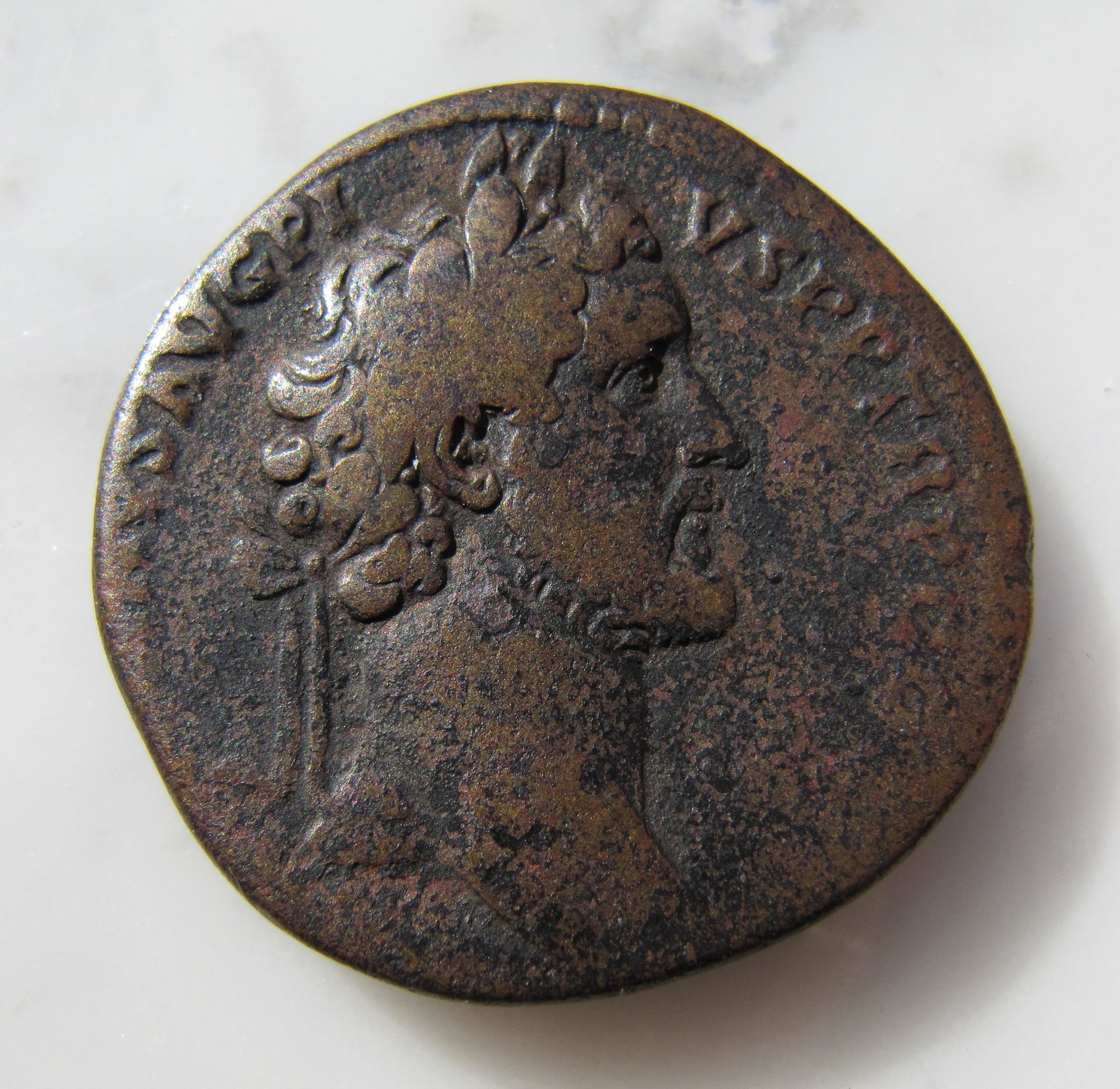 Antoninus Pius Sestertius Romae Aeternae OBV - 1.jpg