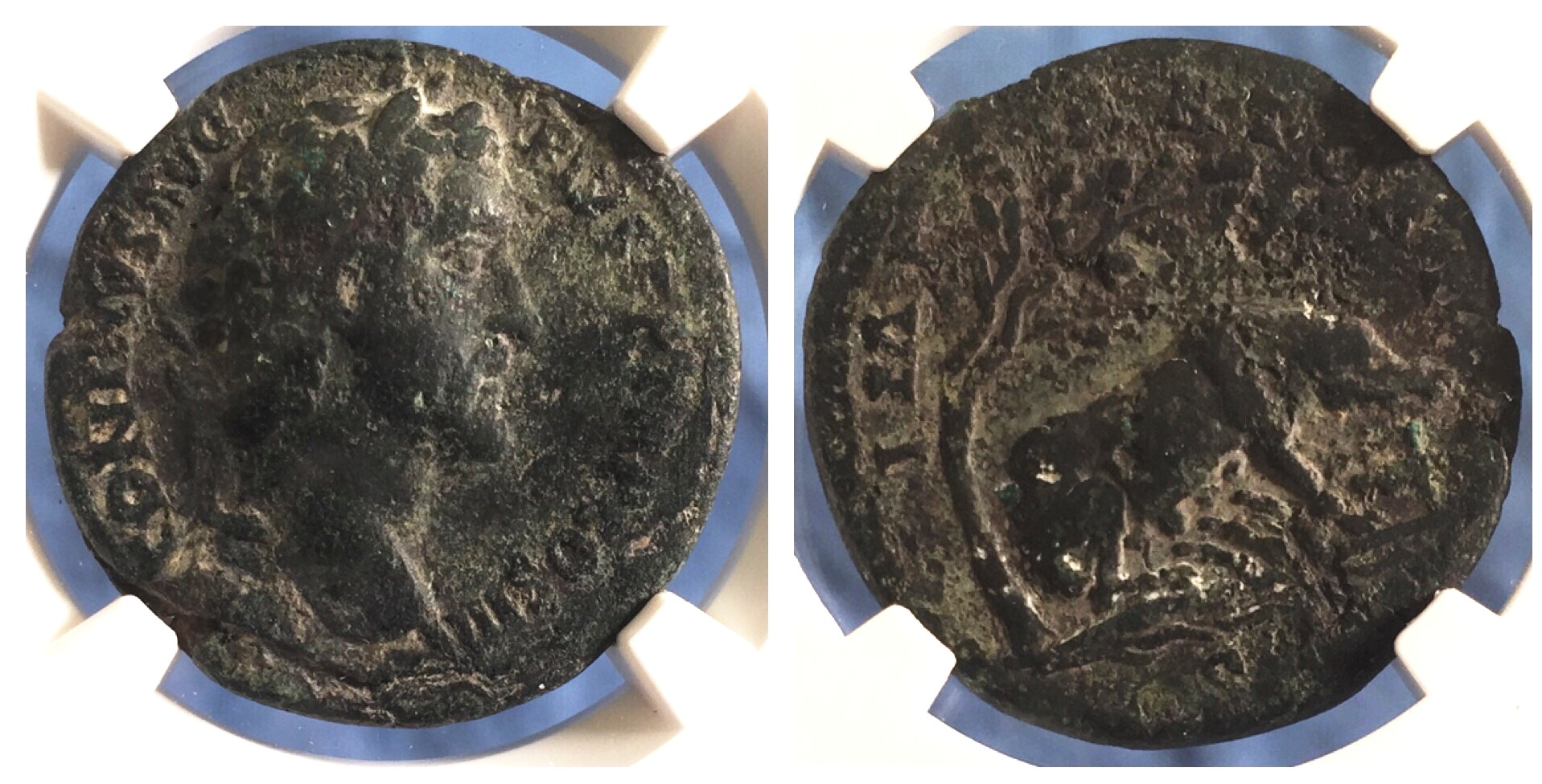 ANTONINUS PIUS SOWS.jpg