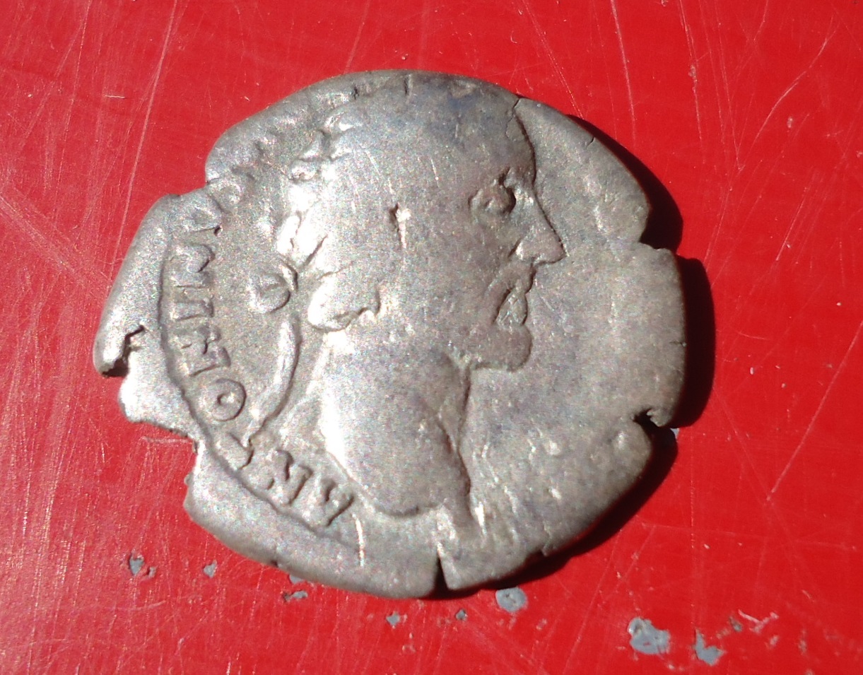 Antoninus Pius - Temple of Augustus Den. (3).JPG