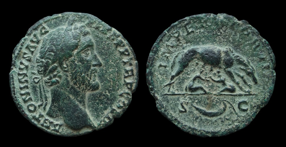 Antoninus Pius Wolf Twins.jpg