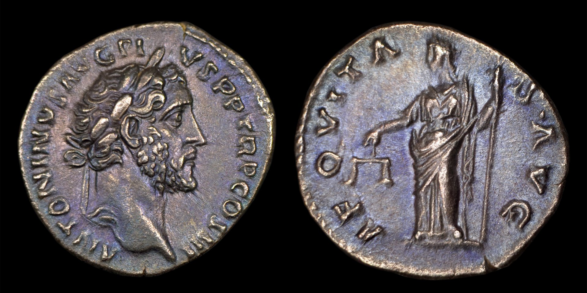 New Antoninus pius denarius | Coin Talk