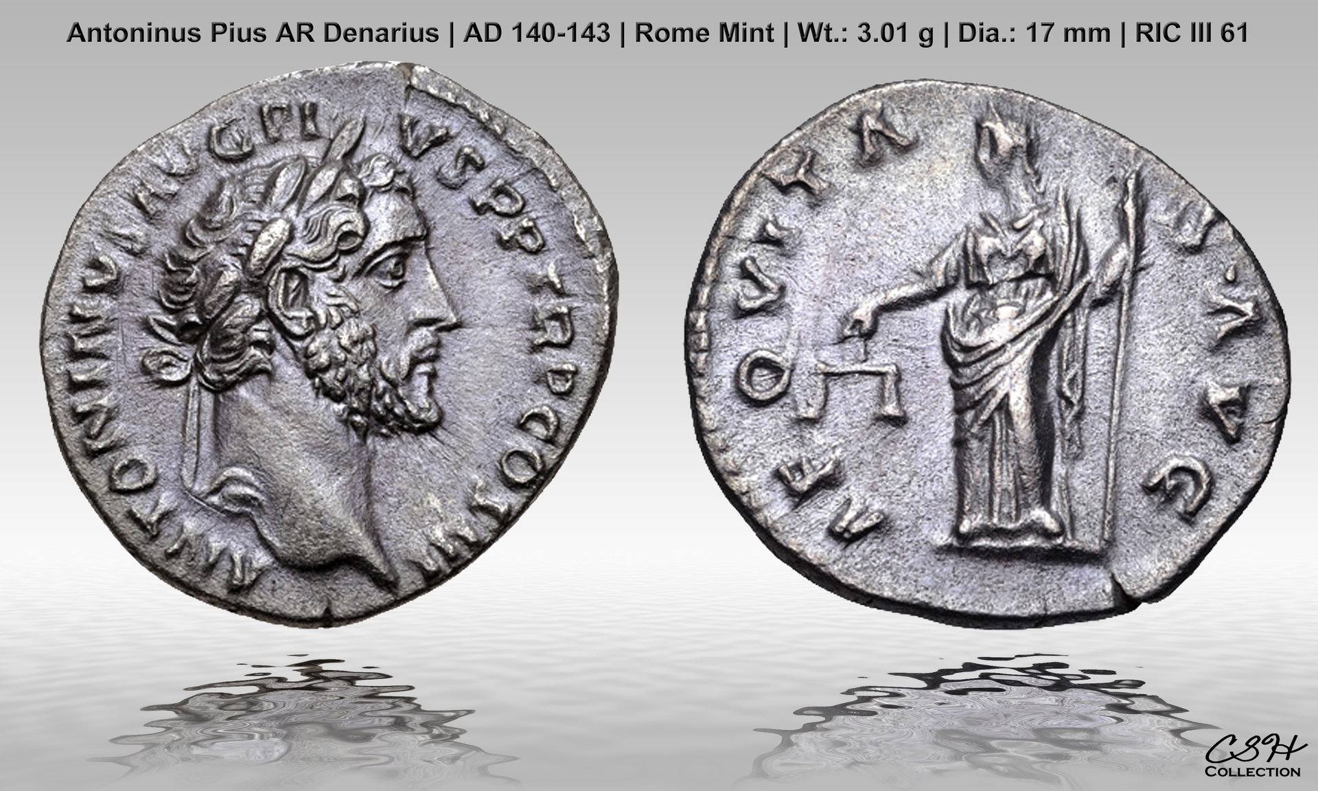 Antoninus_Pius_CSH.jpg