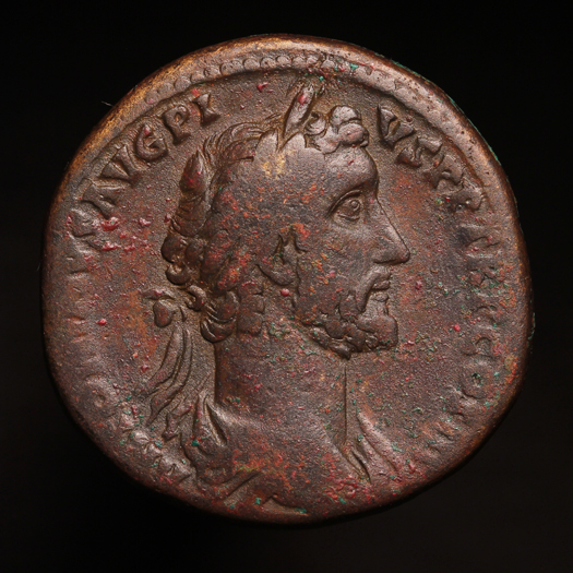 AntoninusPiusConcord525O1_edited-1.jpg