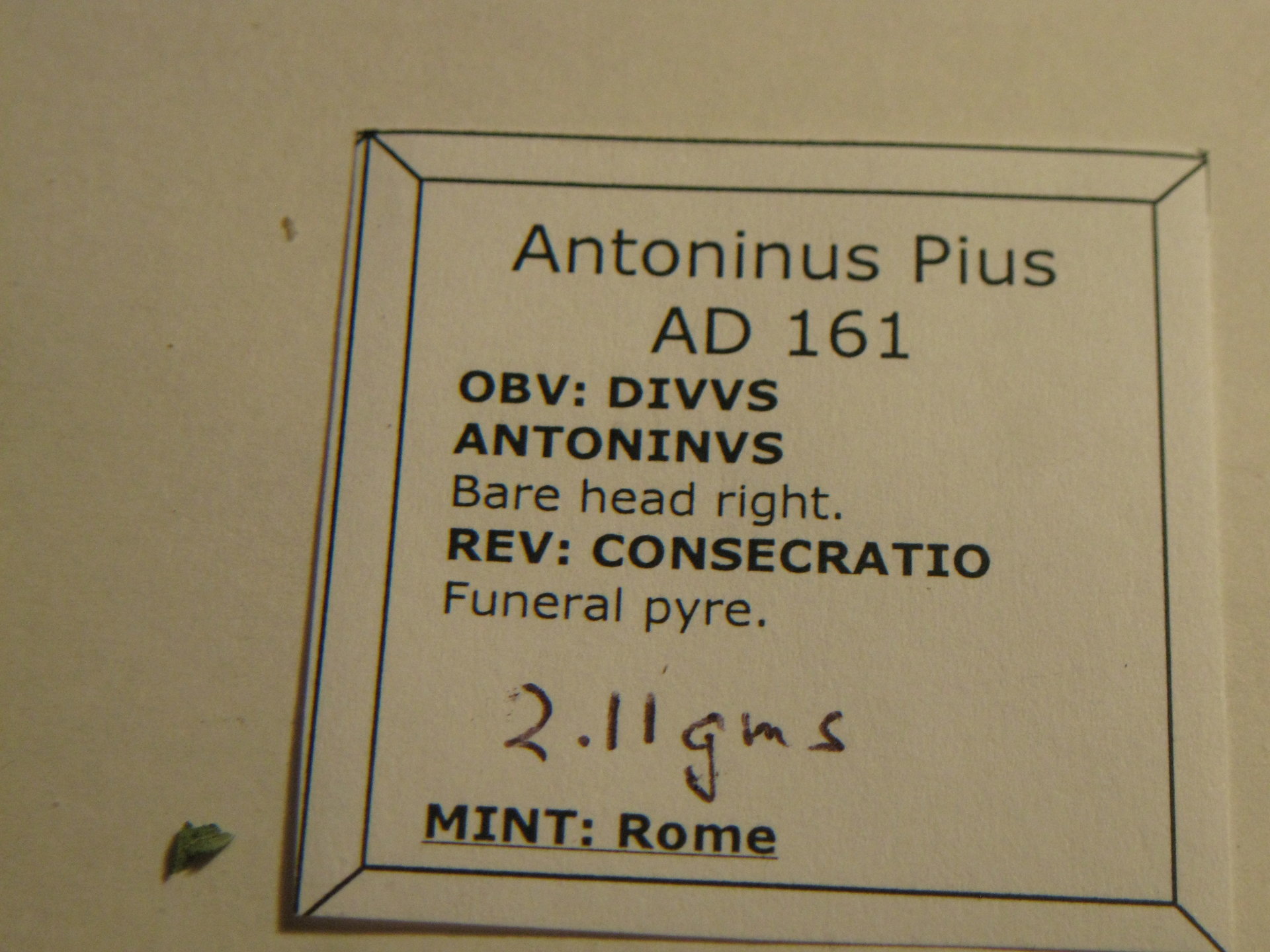 antonius pius denarious 004.JPG
