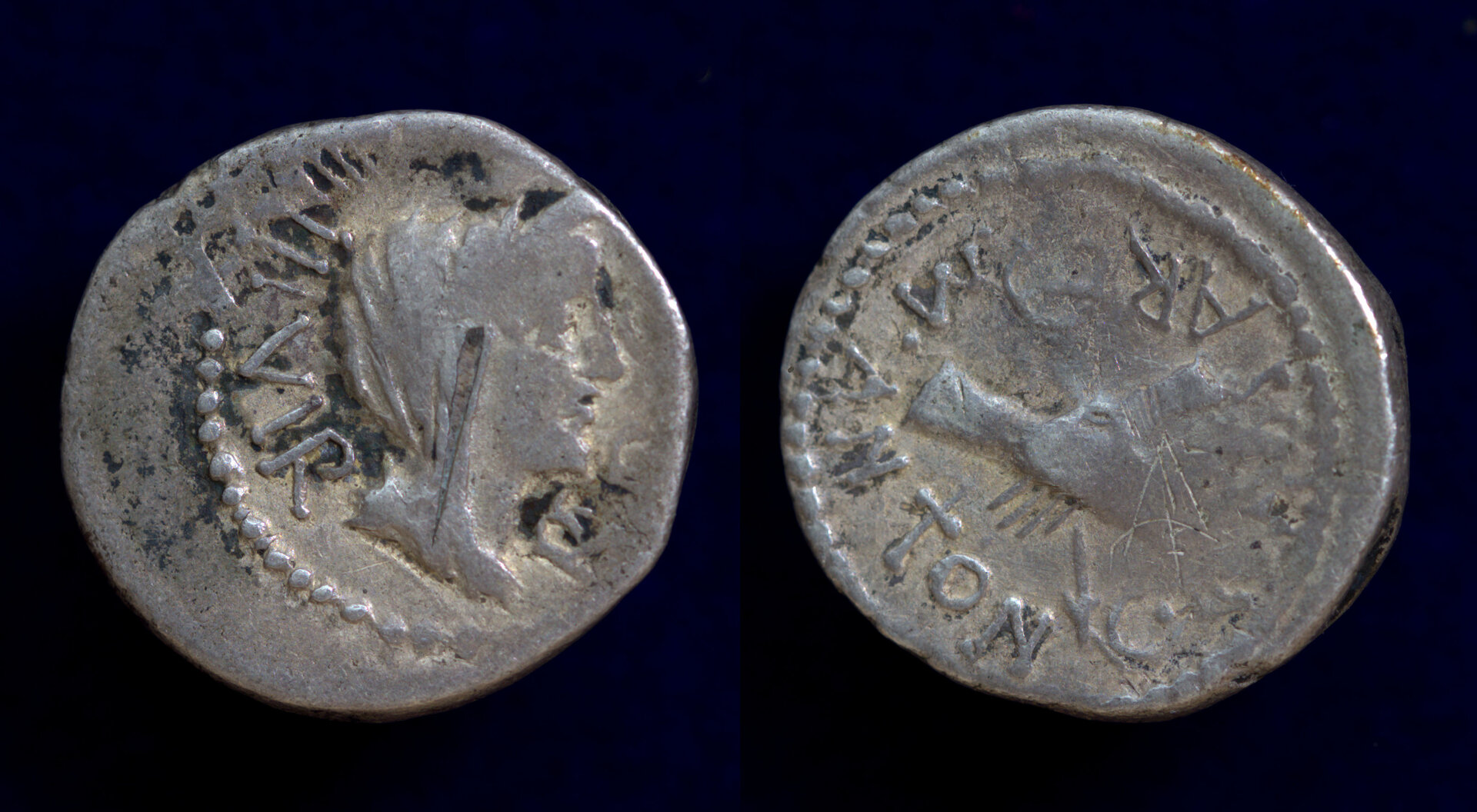 Antony Brundisium 39.jpg