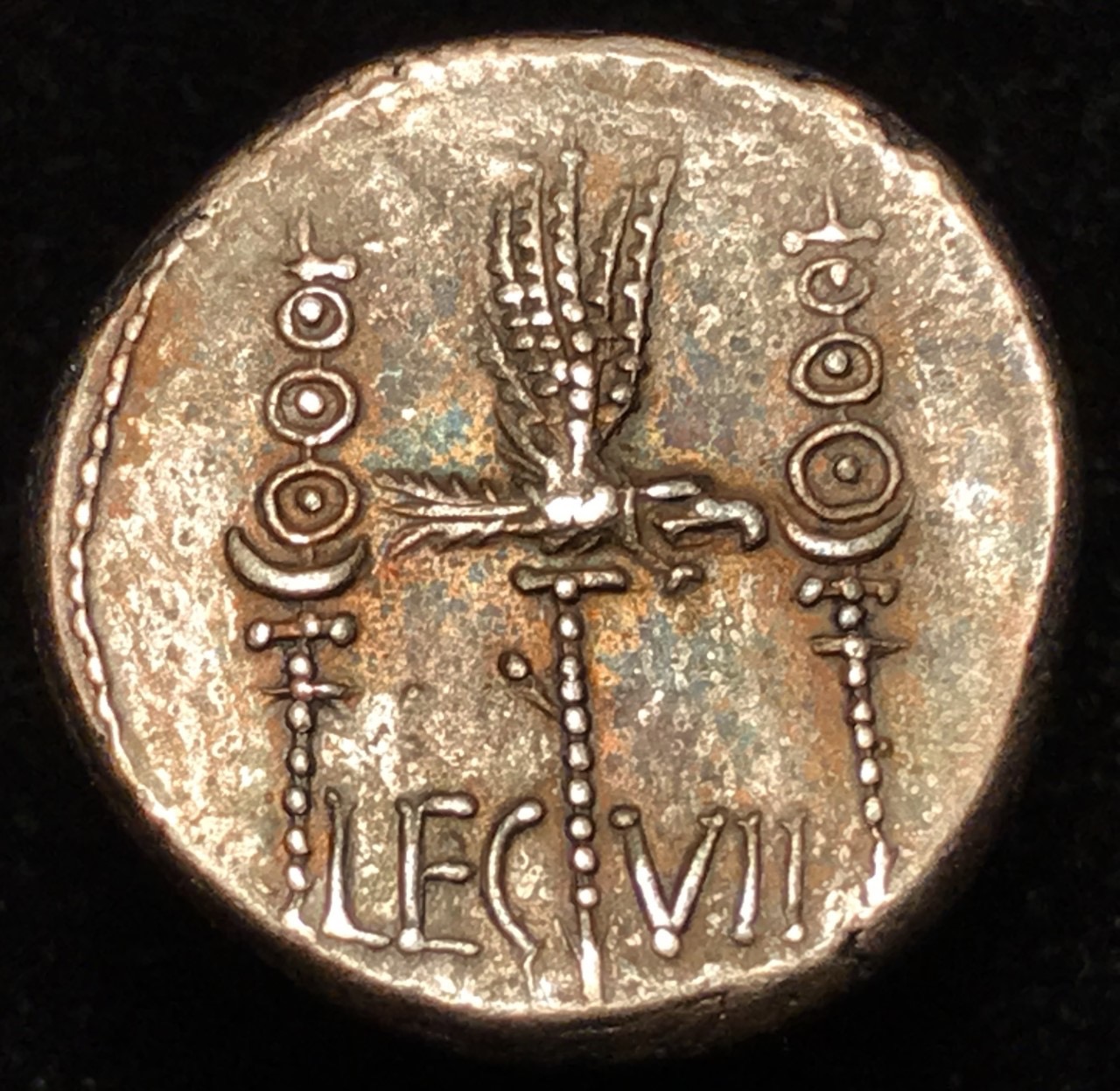 Antony Denarius Reverse B.jpg