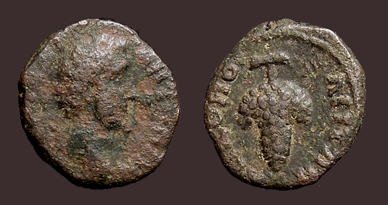 AntPiusNicopolisGrapes.jpg