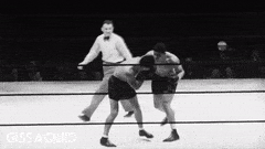 AnxiousPinkHoneybee-max-1mb.gif