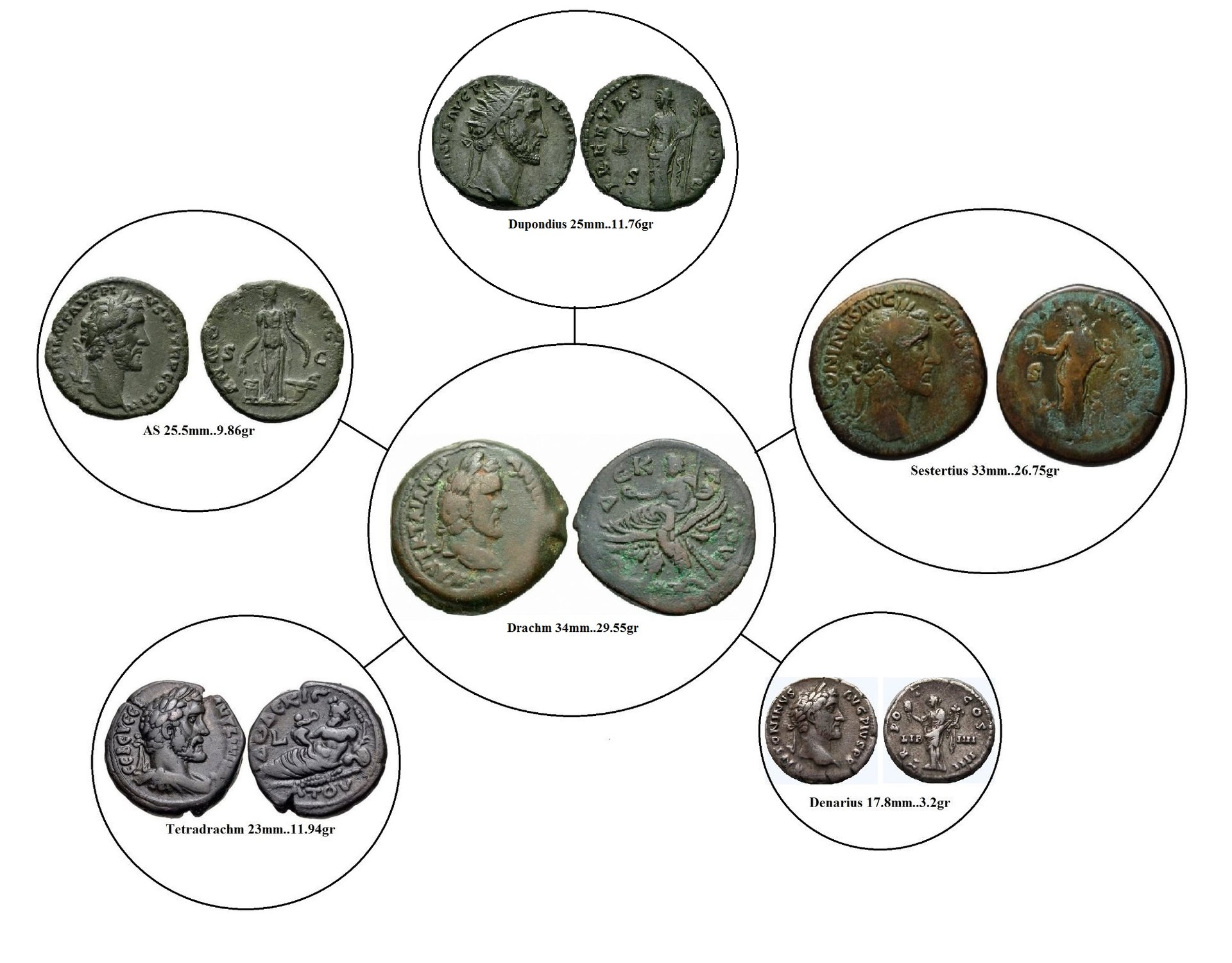 ap 6 coin set.jpg