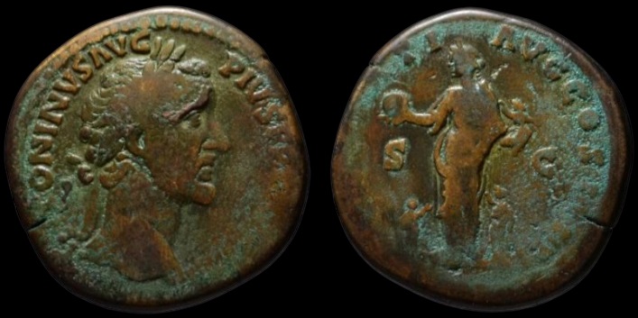 AP SESTERTIUS BLACK.jpg