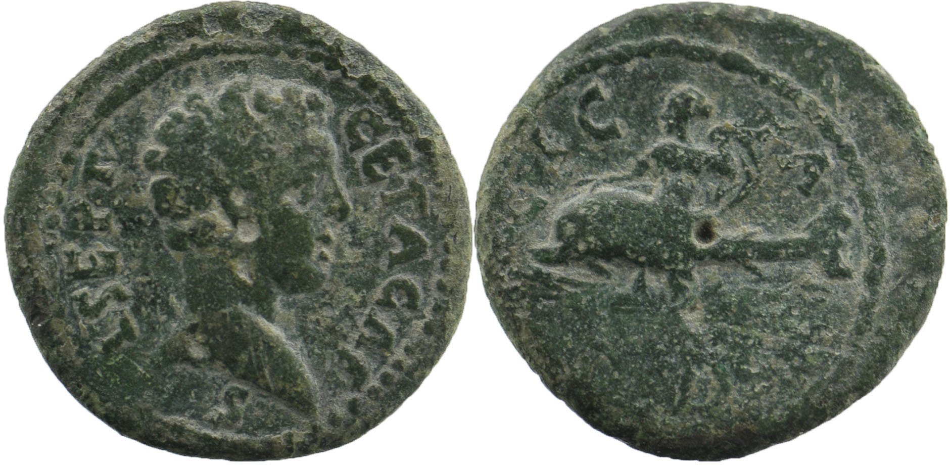 Apamea Venus and Dolphin Themis Geta.JPG
