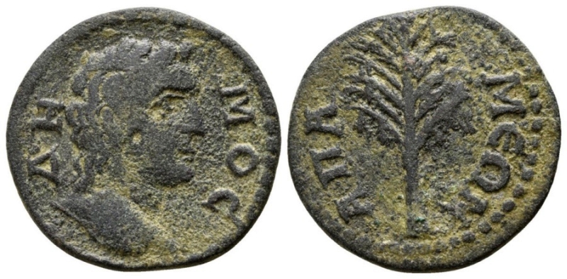 apamea2.jpg