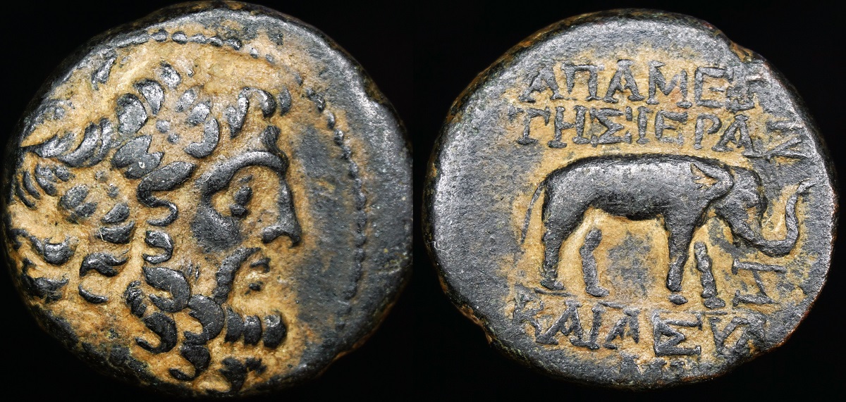 apameia ae 1a.jpg