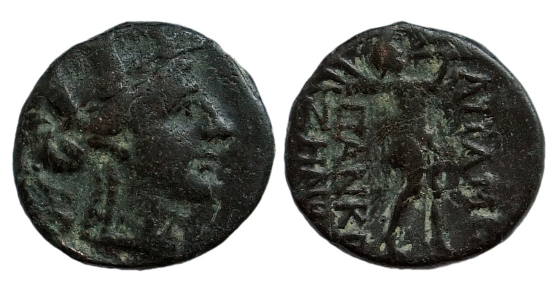 apameia marsyas.jpg