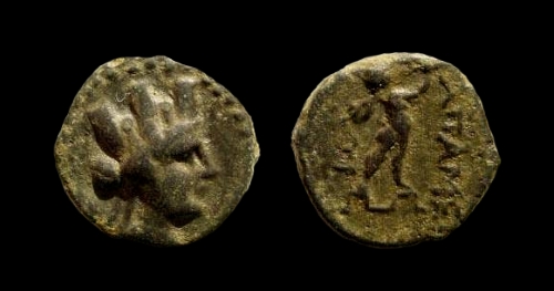 apameia marsyas.jpg