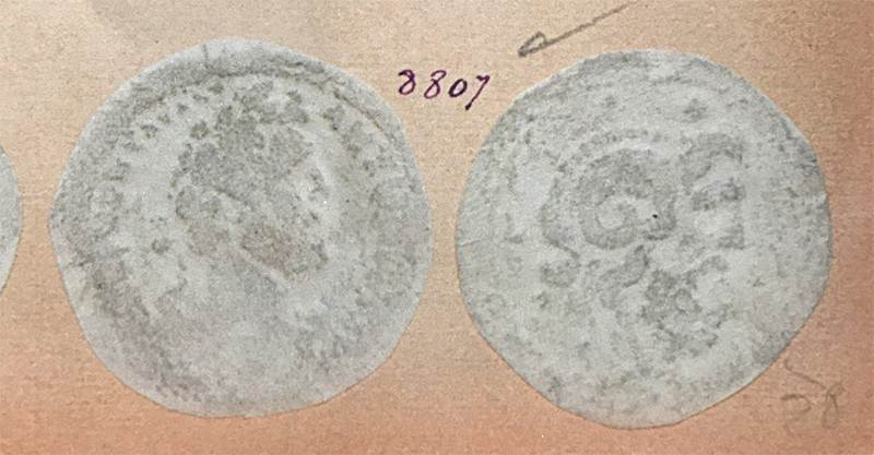 APi-4-DSplate.jpg