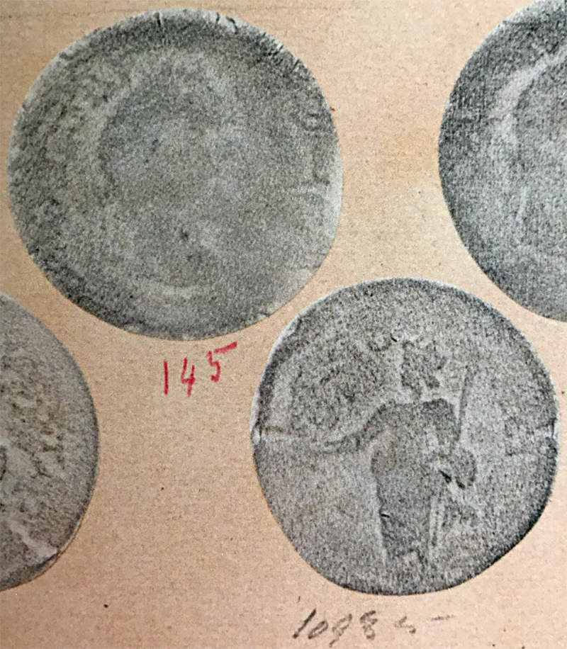 APi-65-DSplate.jpg