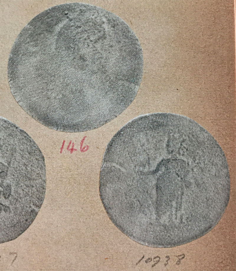 APi-66-DSplate.jpg