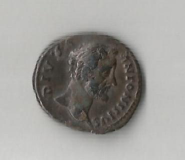 APius Eag O.jpg