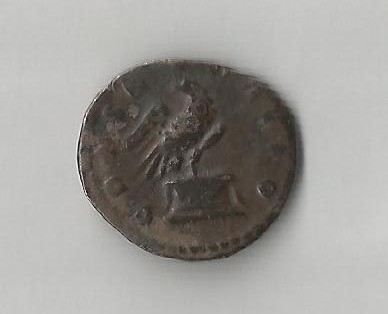 APius Eag R.jpg