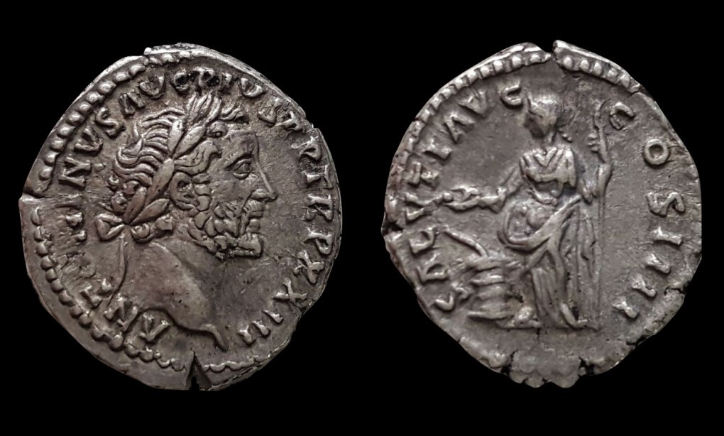 apius.jpg