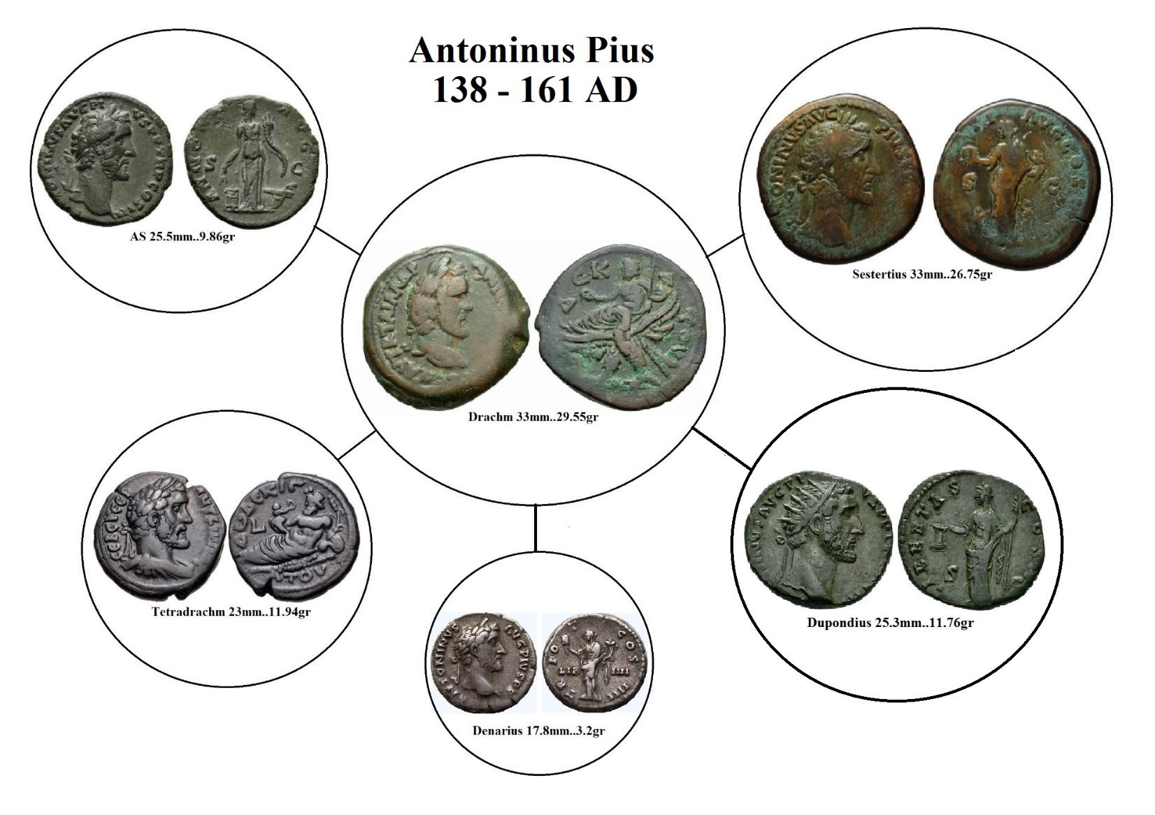 APIUS SET-ccfopt.jpg