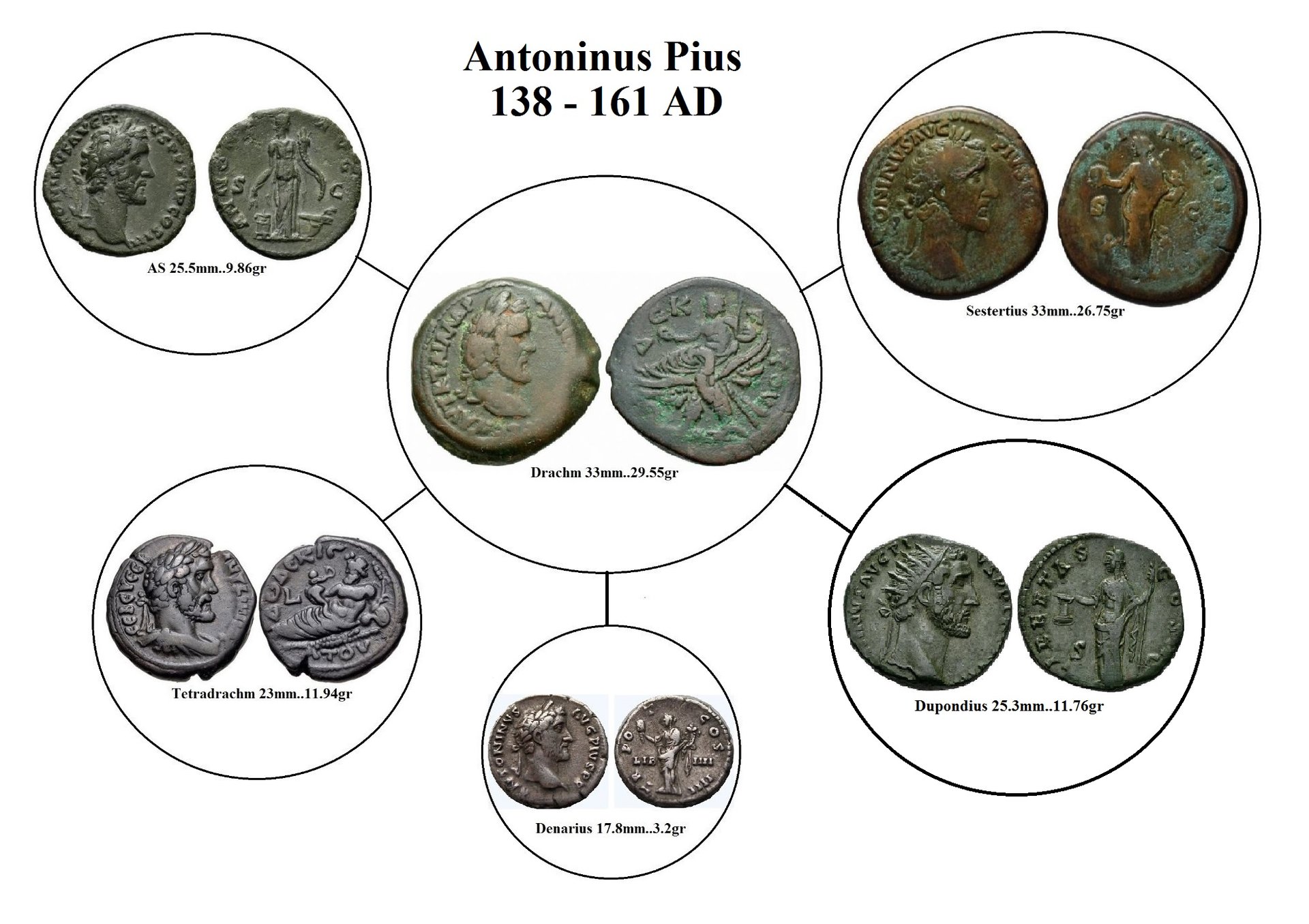 APIUS SET.jpg
