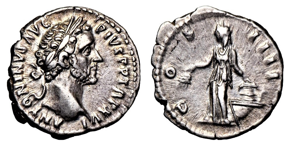 APiusAnnona - Copy.jpg