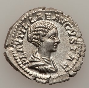 APlautillawithcaracalla.jpg