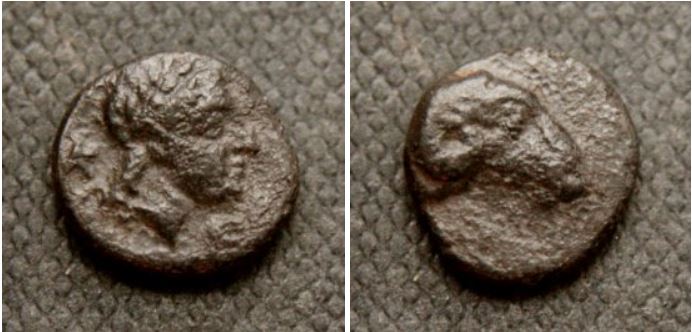 apollo and ram.JPG