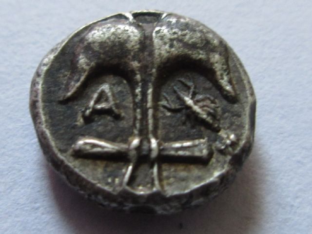 apollo diobol ancor crab reverse.JPG